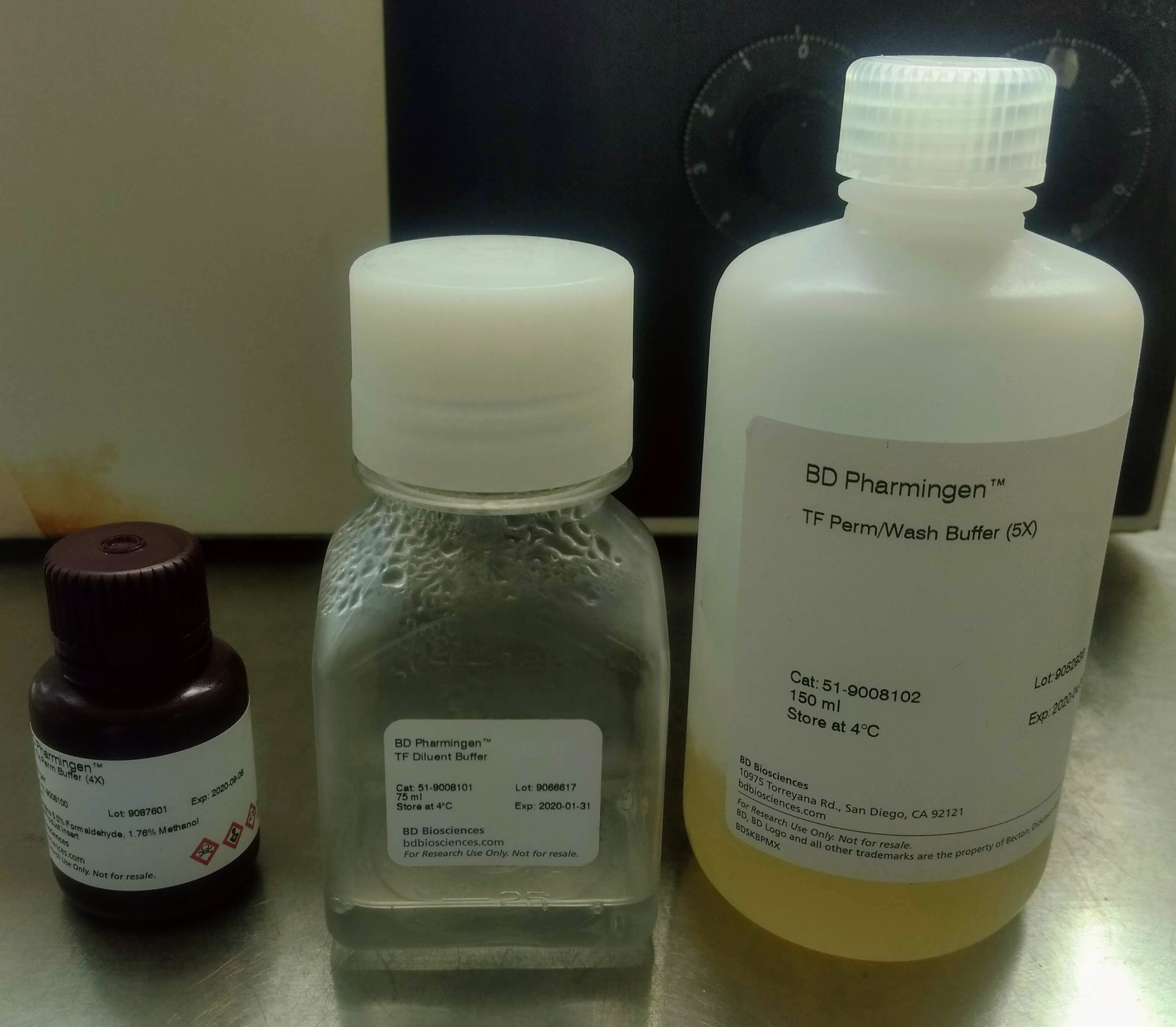 Flow Staining Buffers for Transcription Factors Kit